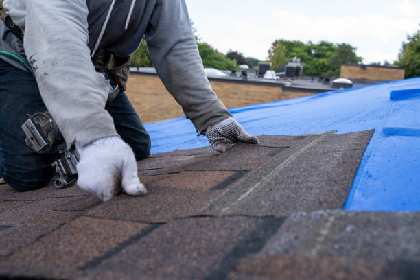 Best Roof Repair Services  in Hilltop, MN
