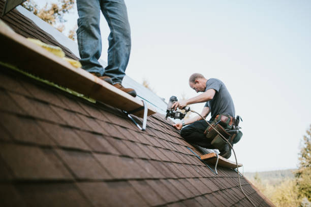 Professional Roofing Contractor in Hilltop, MN